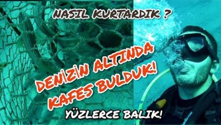 Scuba Dalışında Yeni Maceralar ve Keşifler