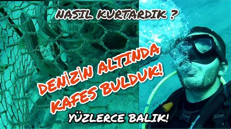 Scuba Dalışında Yeni Maceralar ve Keşifler